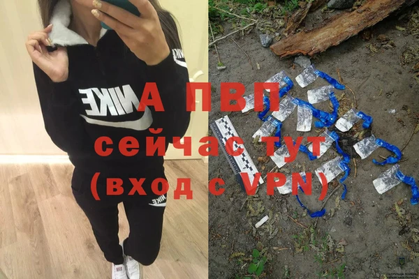 эйфоретик Алексин